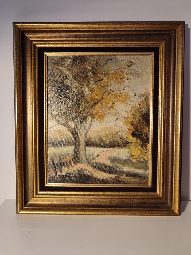 Schilderij Gilbert Van Rooyen Oudegem boom in herfstkleur, Antiek en Kunst, Ophalen of Verzenden