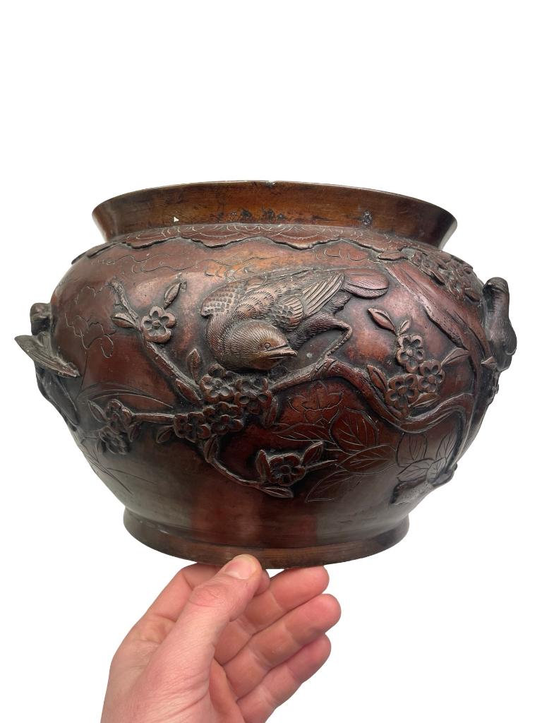 Japanse bronzen schaal Meiji vogeldecoratie - 19e eeuw