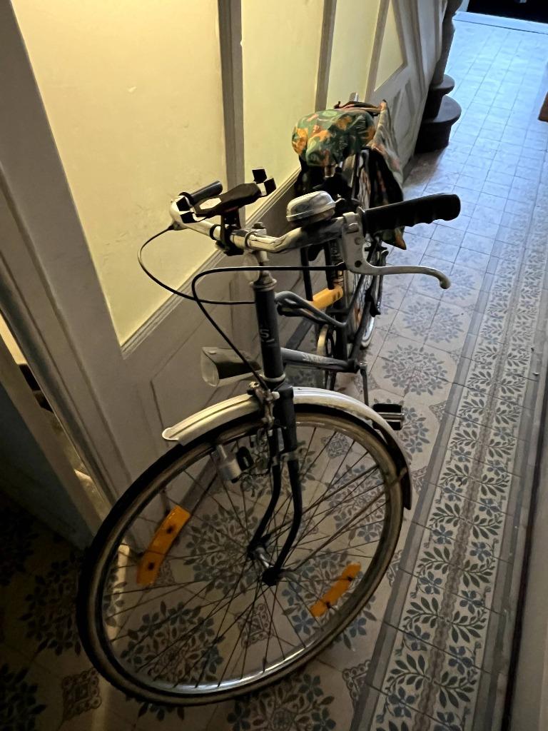 Vélo vintage Sangiorgio (années 60/70), Vélos & Vélomoteurs, 47 à 51 cm, Enlèvement, Années 60 ou plus récent