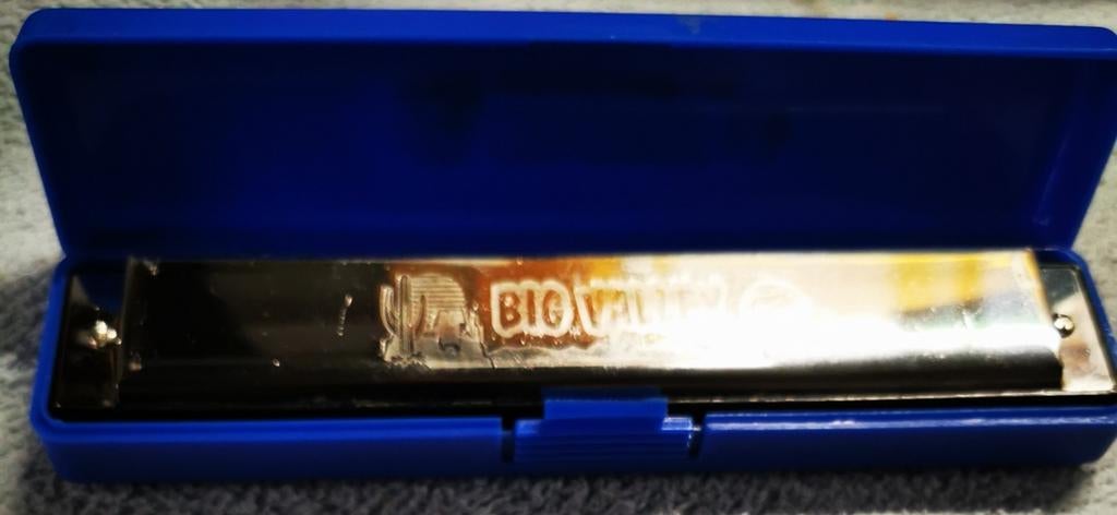 Hohner Big Valley en do harmonica, Musique & Instruments, Instruments à vent | Harmonica, Enlèvement, Comme neuf