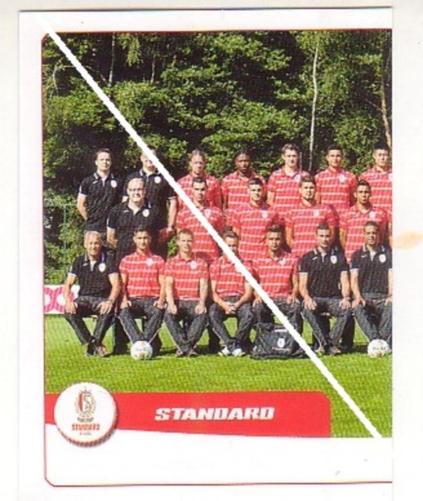 Panini : Pro League 2015 / Standard / Team NR 243, Verzamelen, Verzenden, Nieuw, Poster, Plaatje of Sticker