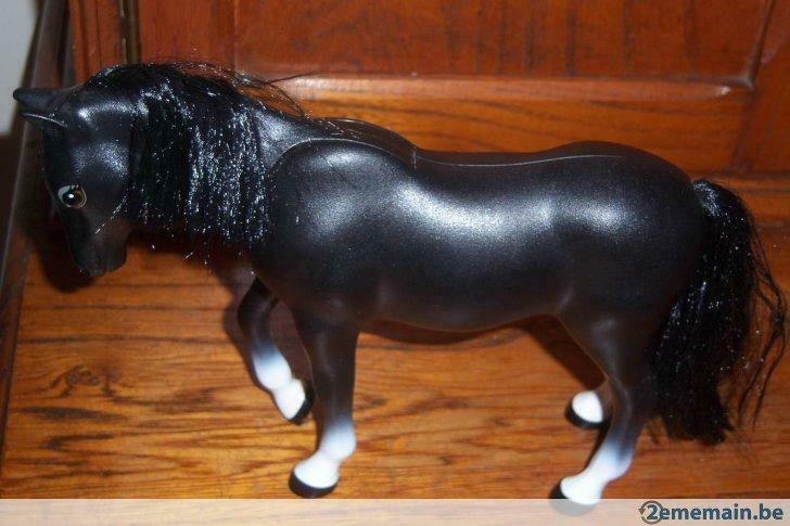 Cheval, Enlèvement, Utilisé