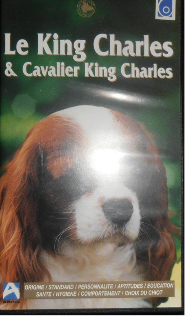 VHS Video Cassettes Cartoons and Animals, Tous les âges, Enlèvement ou Envoi, Comme neuf, Autres genres