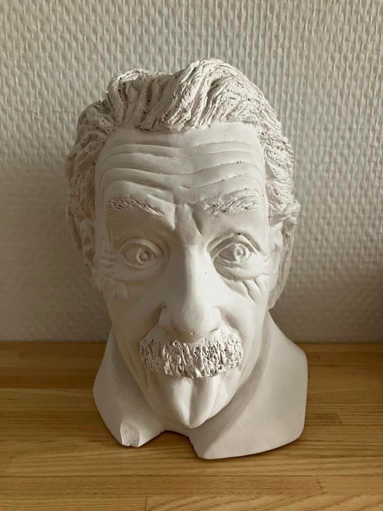 Einstein buste, Ophalen of Verzenden