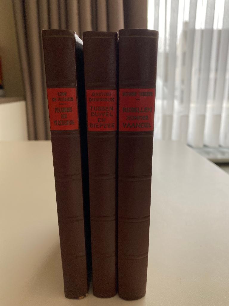 Gulden Reeks van het Davidsfonds 1953, Livres, Littérature, Utilisé, Belgique, Enlèvement ou Envoi
