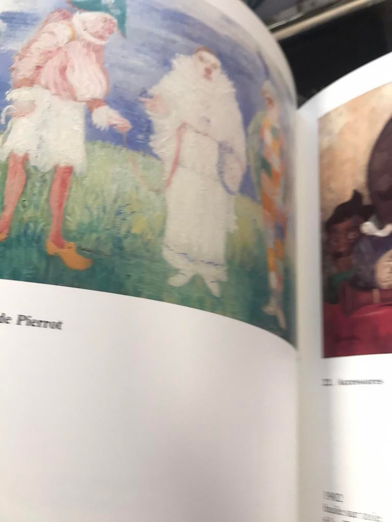 James Ensor collections privées 60pag, Ophalen of Verzenden, Zo goed als nieuw, Schilder- en Tekenkunst