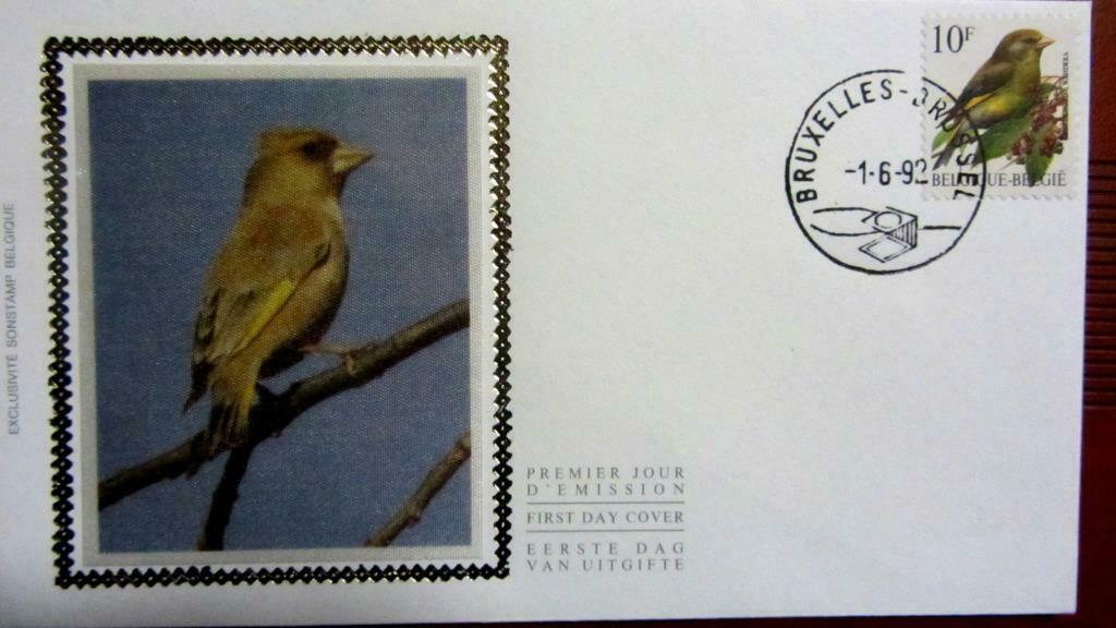 FIRST DAY COVER OP ZIJDE- VOGELS VAN BUZIN- DE GROENLING, Ophalen of Verzenden, Gestempeld, Dier of Natuur