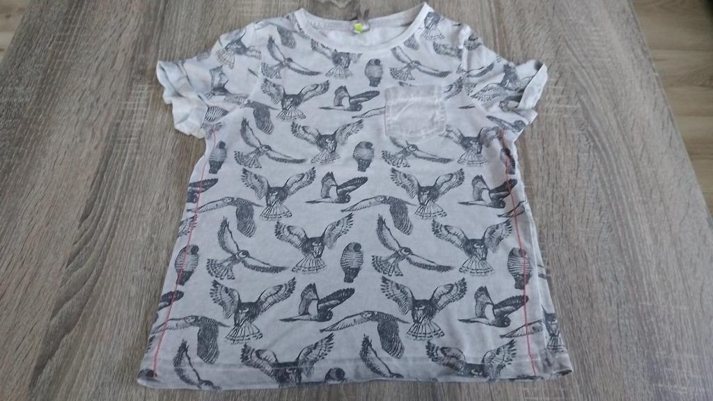 t-shirt 116, Kinderen en Baby's, Kinderkleding | Maat 116, Ophalen, Gebruikt, Shirt of Longsleeve, Jongen