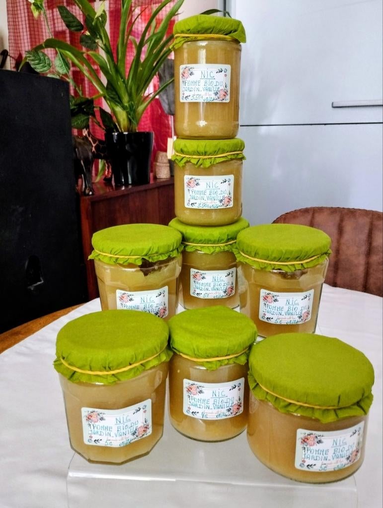 Confiture MAISON ARTISANALE à la POMME BIO DU JARDIN/VANILLE, Divers, Enlèvement