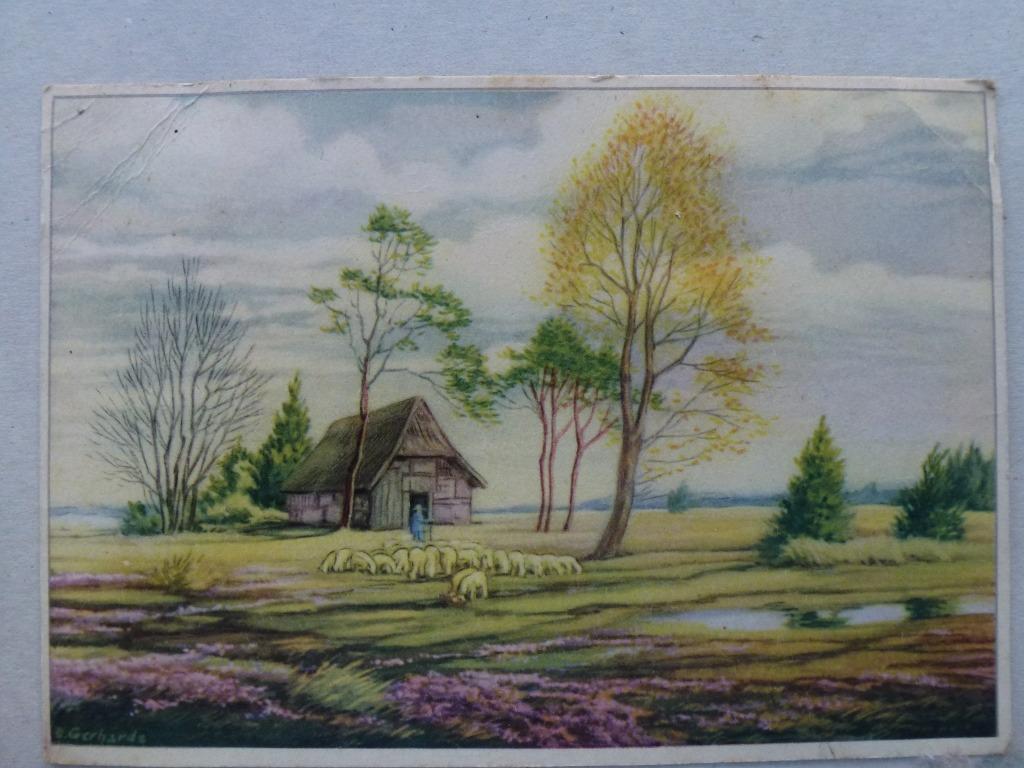 vieille carte postale maison moutons étang décrit 1944, Enlèvement ou Envoi, 1940 à 1960, Affranchie