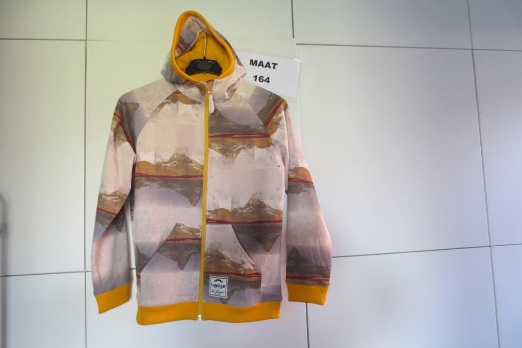 Snowboard /skivest met kap 164 Wed'ze Decathlon. Foto 8939, Ophalen of Verzenden, Zo goed als nieuw, Jas, Jongen