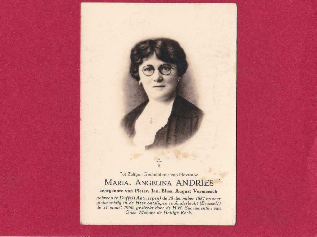 DP Maria Andries, Ophalen of Verzenden, Bidprentje