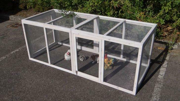 Enclos poule parc poule extension poulailler enclos rongeur, Animaux & Accessoires, Envoi, Neuf