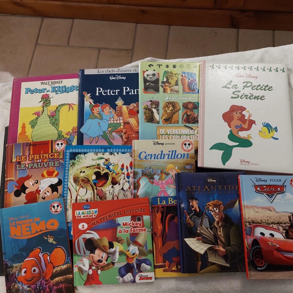 lot 13 livres enfants DISNEY, Enlèvement ou Envoi