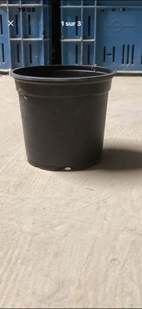 Pot/partij jonge planten overplanten, Tuin en Terras, Ophalen, Gebruikt, Rond
