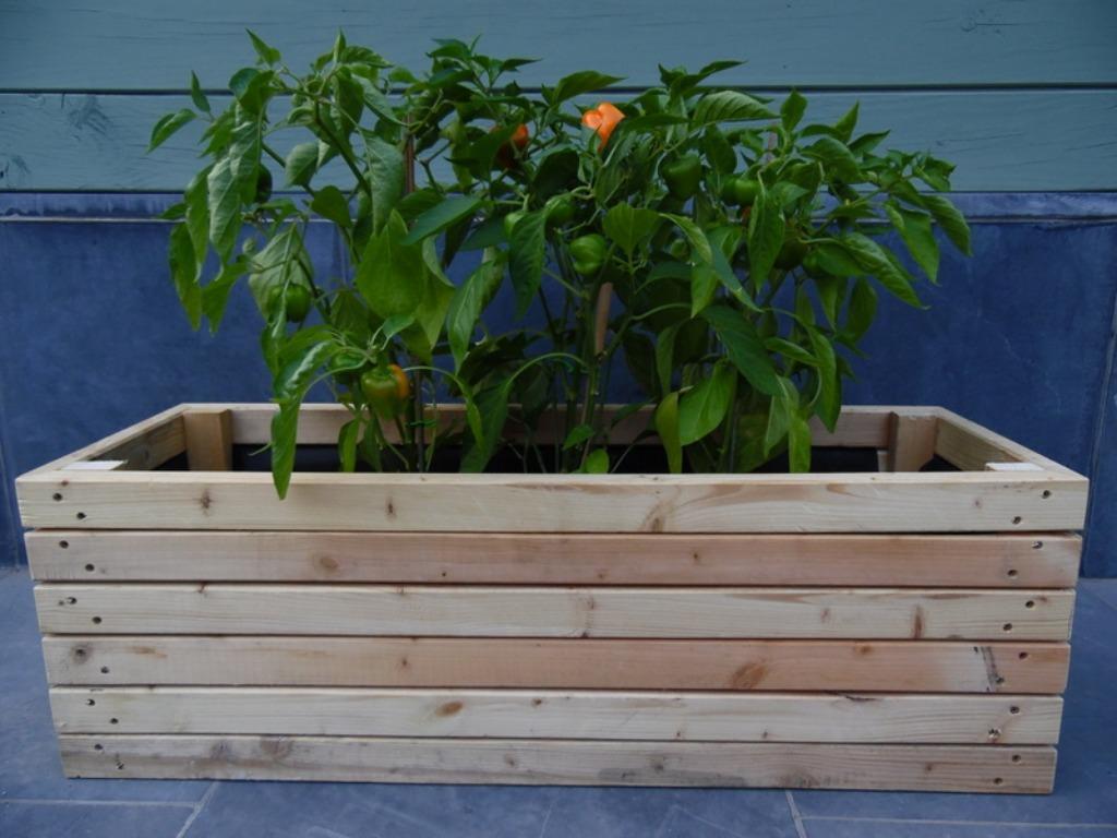 Nieuwe * Houten - Kruidenbak - Bloembak - Groentenbak kweekb, Ophalen, Nieuw, Hout, Balkon