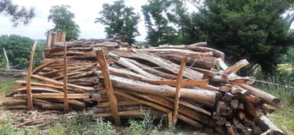 acacia palen, Articles professionnels, Agriculture | Outils, Enlèvement