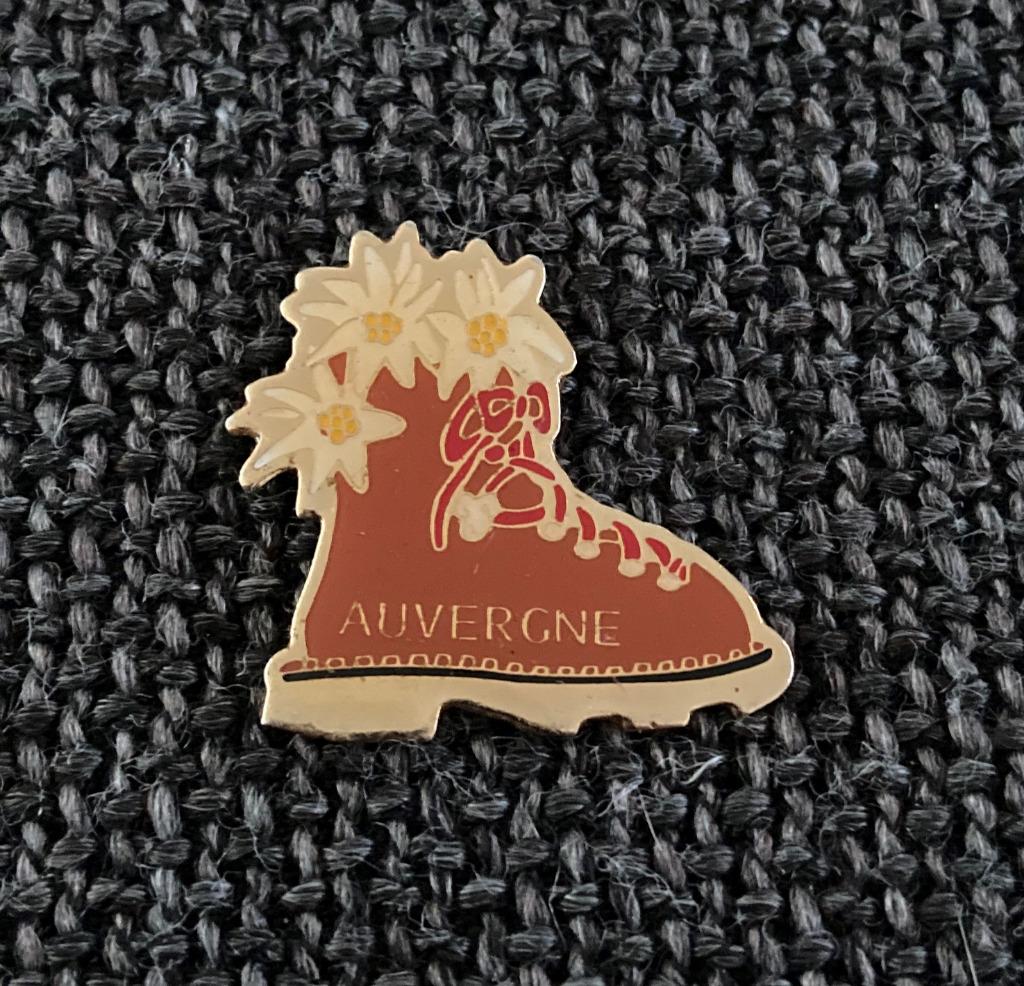 PIN - AUVERGNE - FRANCE - FRANKRIJK, Envoi, Utilisé, Ville ou Campagne, Insigne ou Pin's
