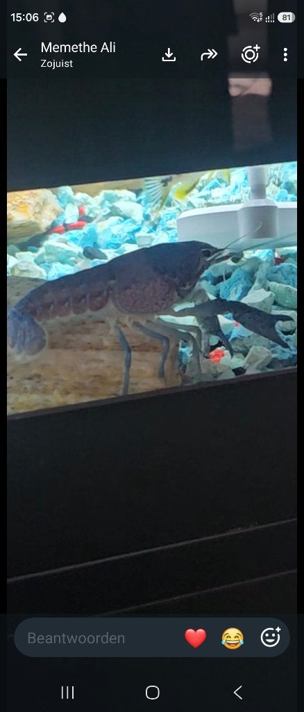 Aquarium, Animaux & Accessoires, Enlèvement, Comme neuf, Autres types