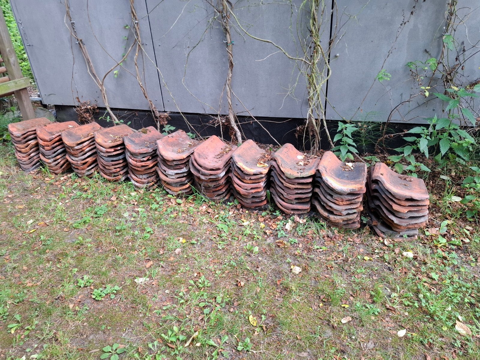 Boomse pannen rood 100 stuks, Ophalen