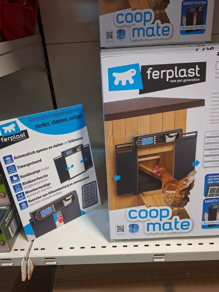 Automatiche kippe deurtjes, Dieren en Toebehoren, Meerdere dieren, Kip