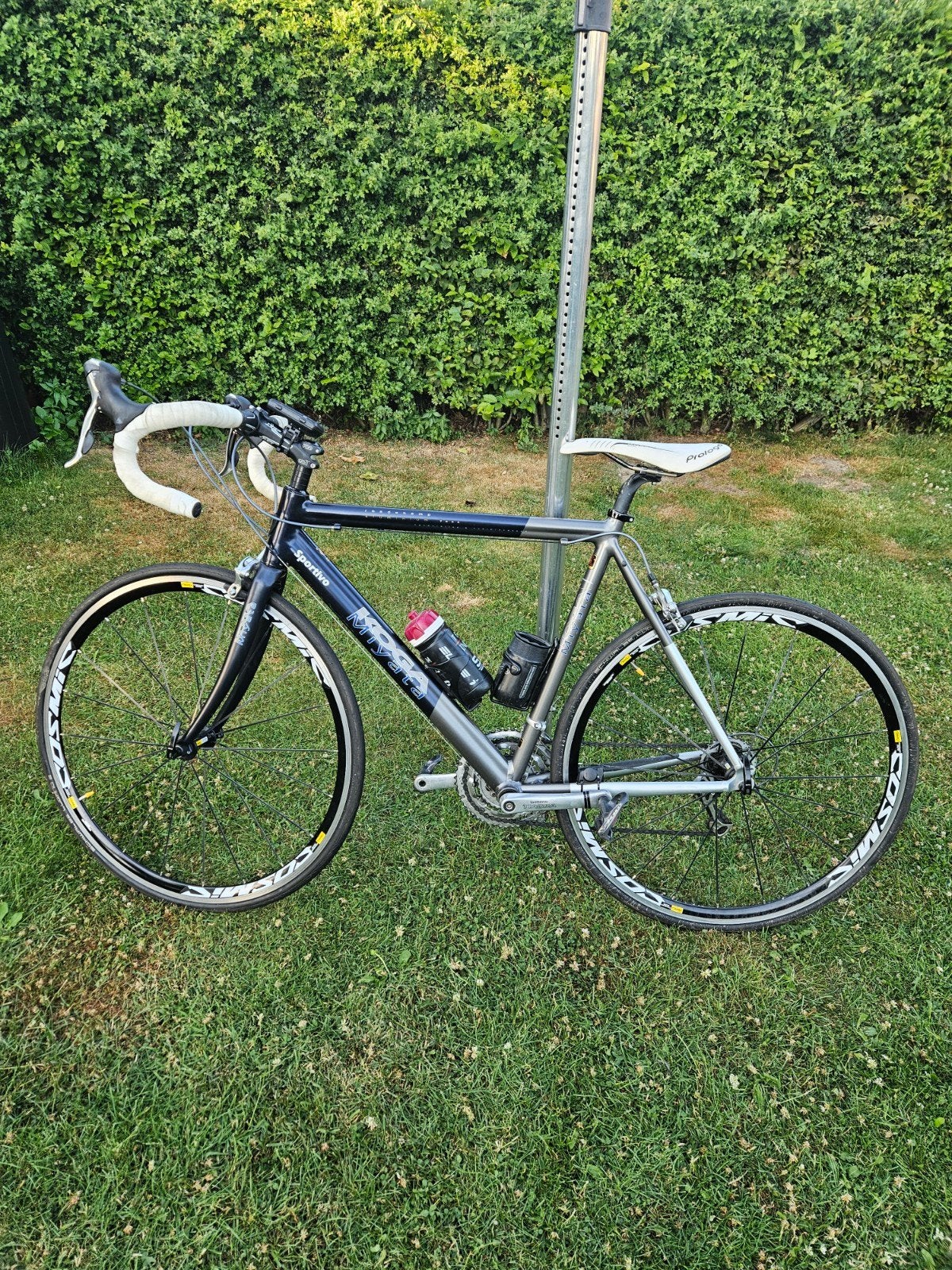 Race fiets koga voor personen van ongeveer 175cm, Ophalen