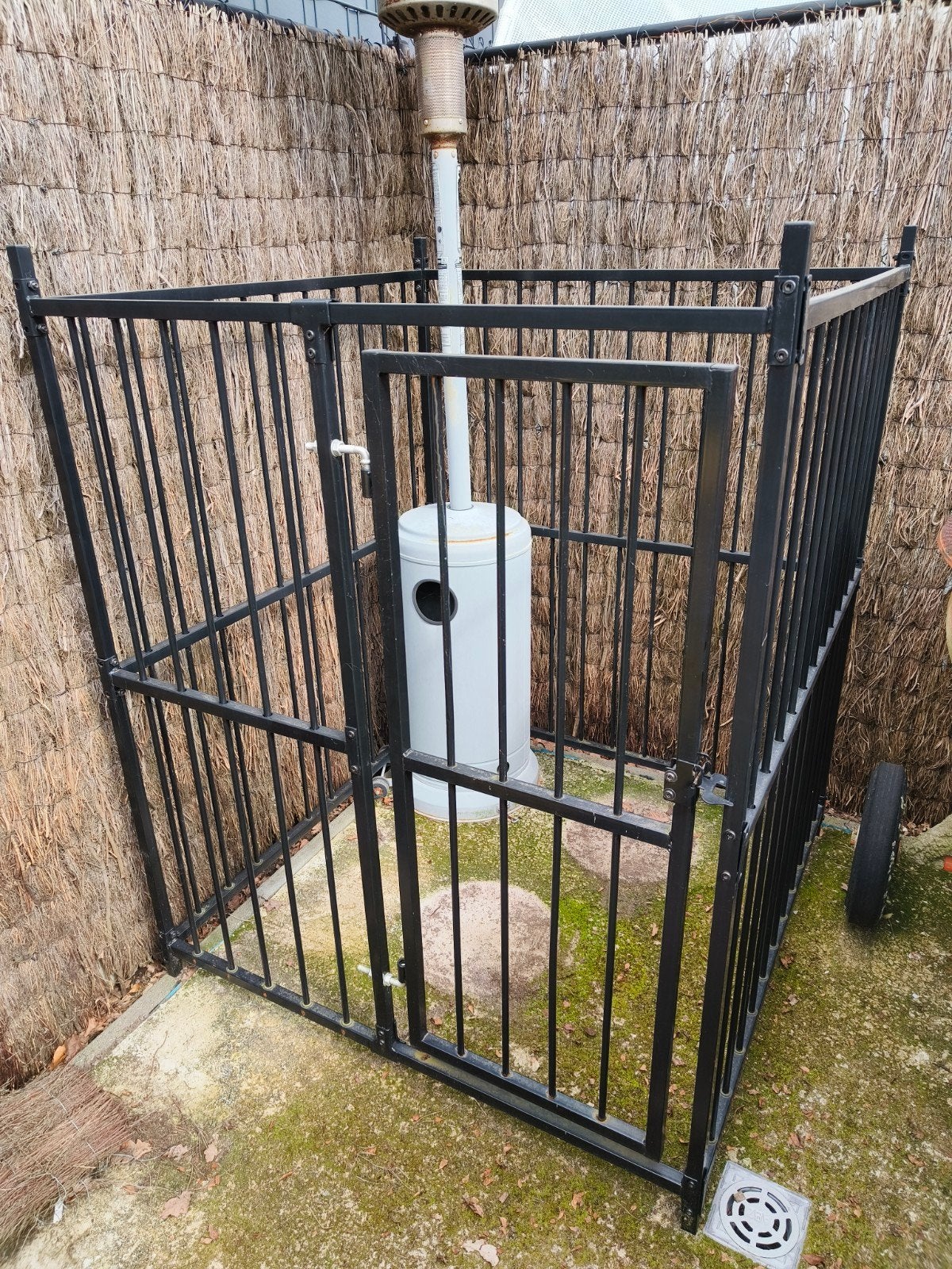 Hondenhok, Ophalen, 110 cm of meer, Hondenhok, 100 cm of meer