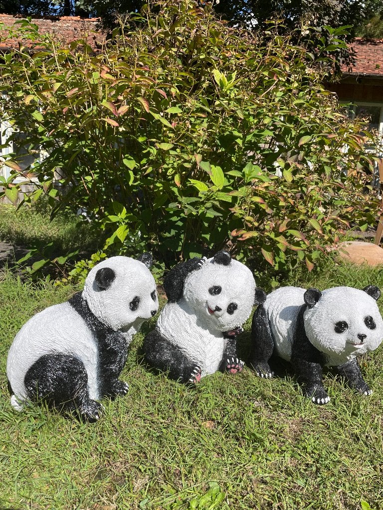 Set de 3 photos Panda, pelouse, jardin, zoo, 50 cm, Enlèvement, Neuf, Synthétique, Animal