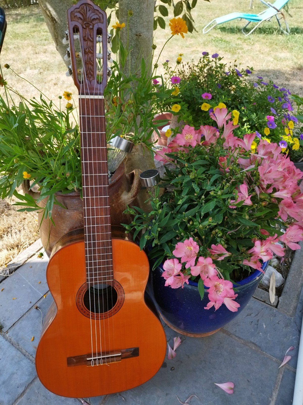 classic guitar di giorgio brazil mod signorina nr 16 de 1975, Muziek en Instrumenten, Snaarinstrumenten | Gitaren | Akoestisch