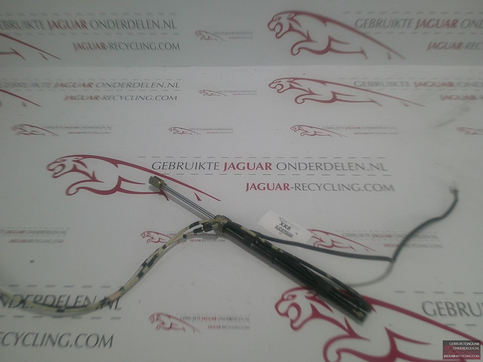 Cabrio dak cilinder RH Jaguar XK8 HJC8255AA, Gebruikt, -, Ophalen of Verzenden, Jaguar