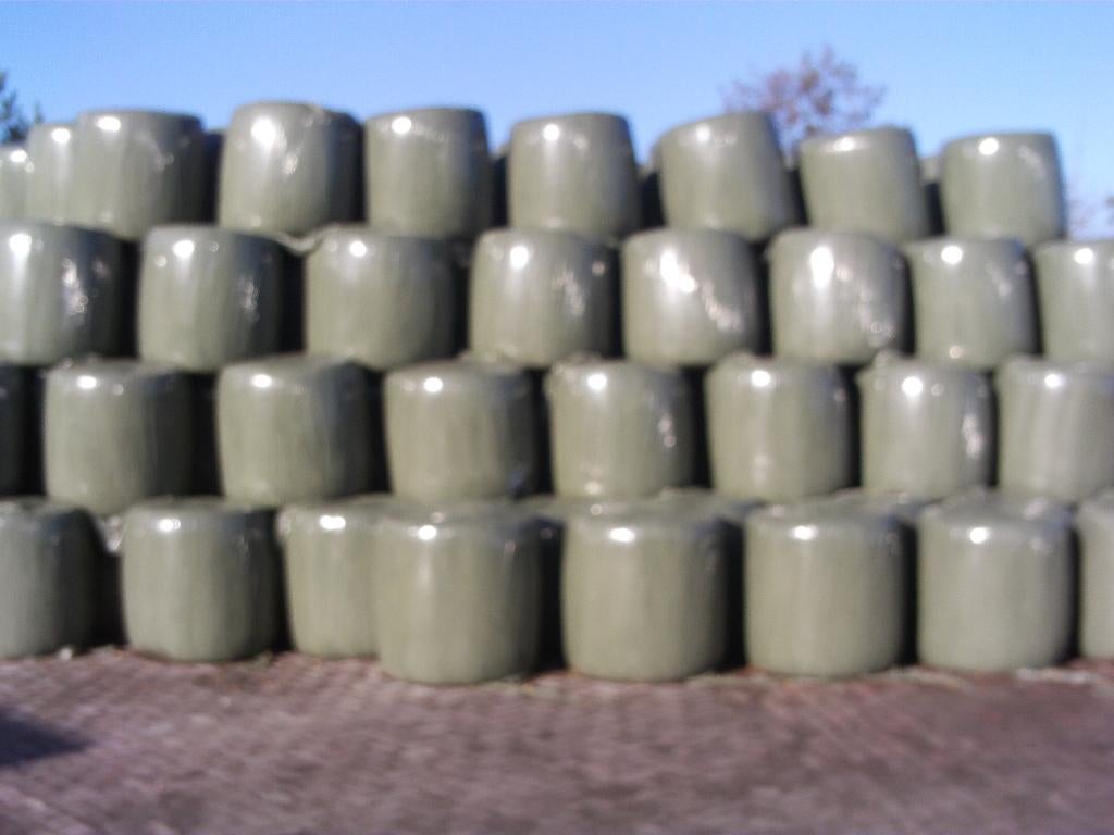 midi maisbalen, Enlèvement, Bétail