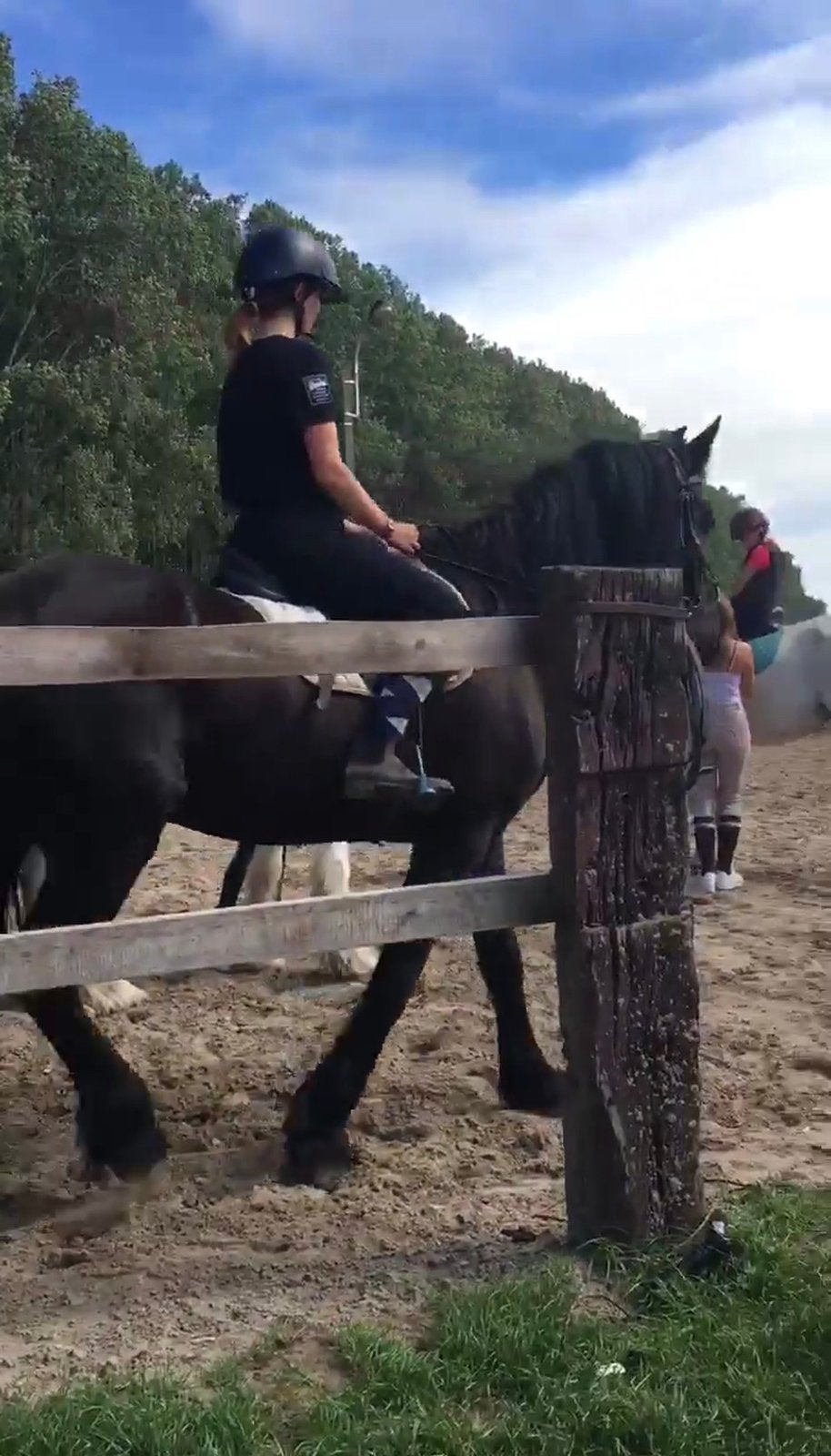Bijrijder aangeboden/halve stal gezocht, Dieren en Toebehoren, Paarden en Pony's | Verzorgingsproducten, Zo goed als nieuw, Ophalen of Verzenden