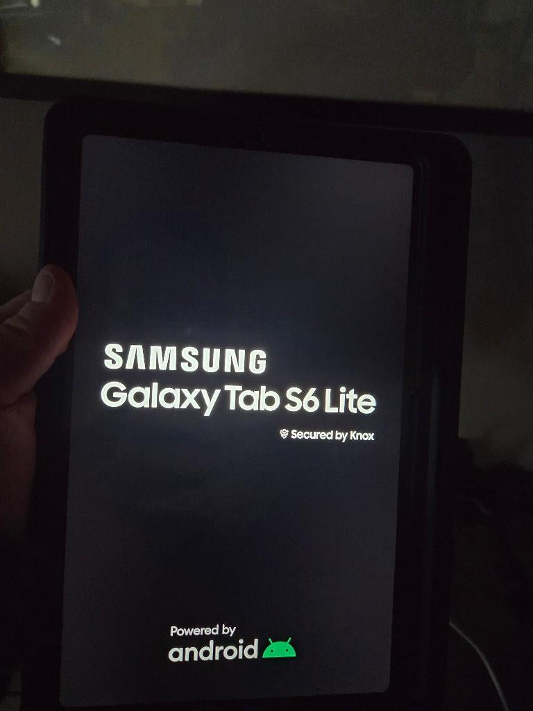 Samsung S6 lite, Computers en Software, Android Tablets, Ophalen, 11 inch, Nieuw, Gps