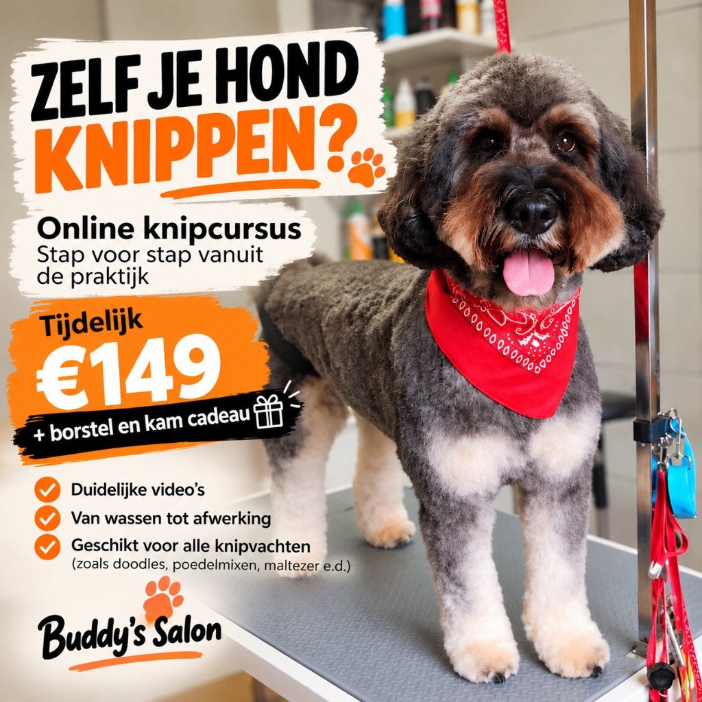 Zelf je hond leren trimmen – online trimcursus, Dieren en Toebehoren, Overige merken, Verzenden, Nieuw, Overige typen