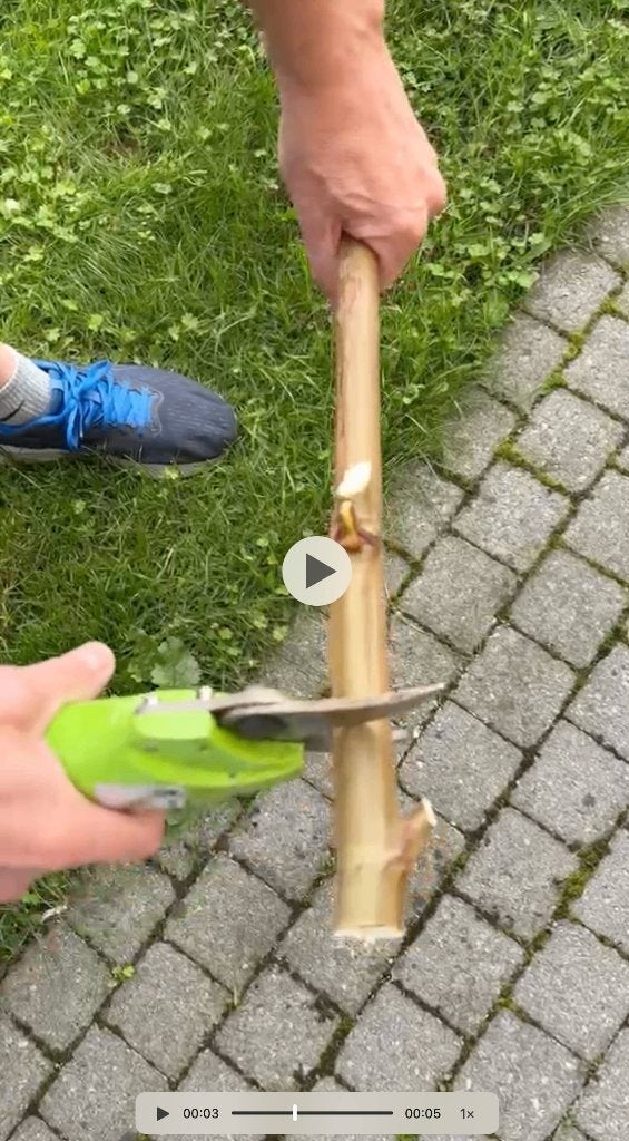 Professionele snoeischaar     voor spotprijs, Tuin en Terras, Ophalen of Verzenden, Gebruikt, 30 t/m 39 mm