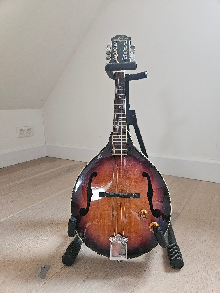 Mandoline OscarSchmidt by Washburn, Musique & Instruments, Instruments à corde | Mandolines, Enlèvement, Utilisé