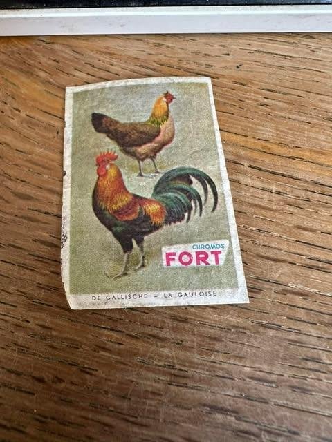 étiquette de boîte d'allumettes Fort Chickens de Gallic, Collections, Boîtes ou marques d'allumettes, Enlèvement ou Envoi, Fort