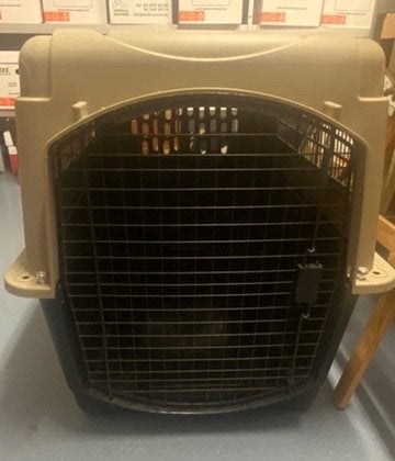 Reisbench hond - VARI KENNEL ULTRA, Ophalen, Zo goed als nieuw
