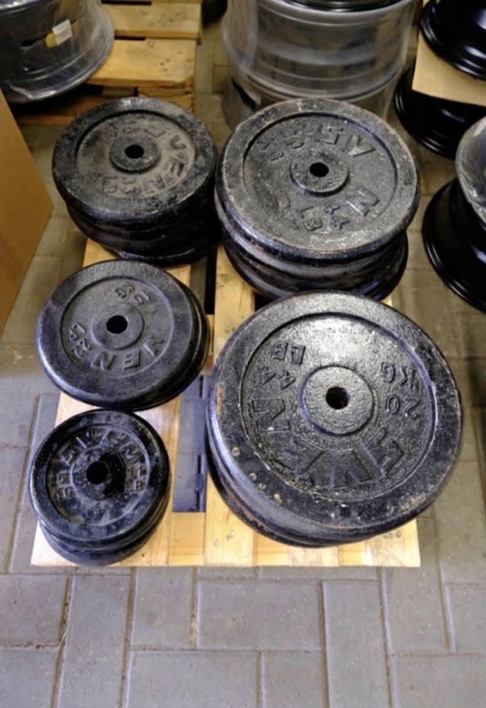 Disques Pour Haltères SVEN, Sports & Fitness, Enlèvement, Utilisé