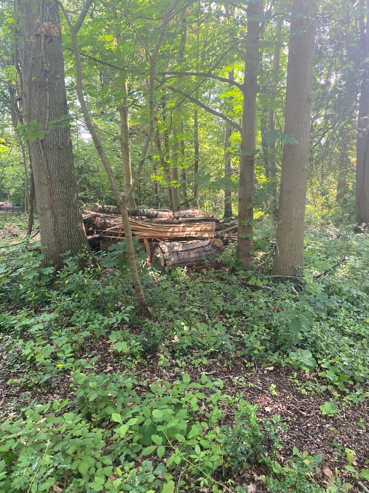 GRATIS Hout op te halen in Hever 3191, Ophalen