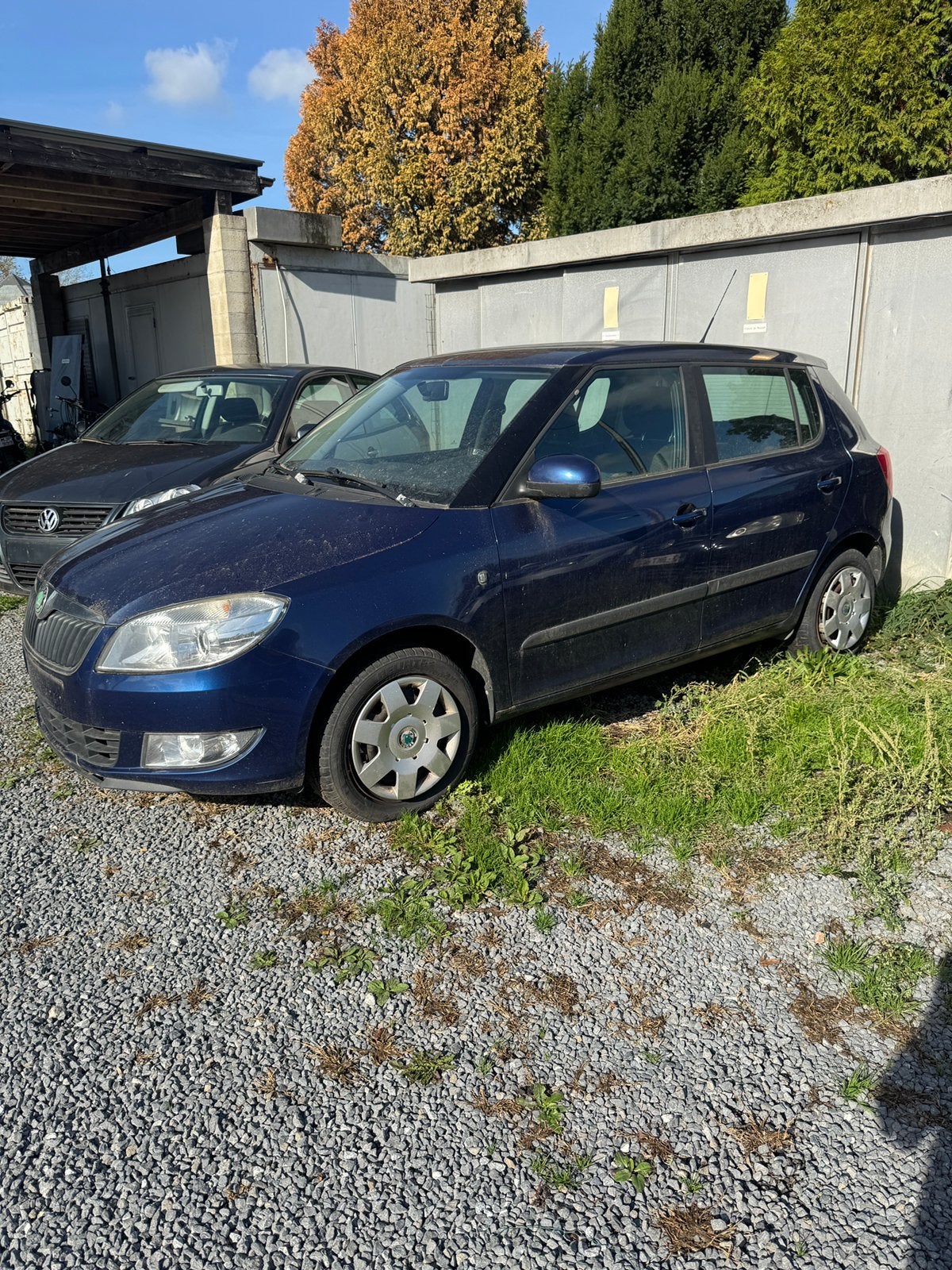 Skoda, vw, Auto's, Particulier, Benzine, Te koop, Fox