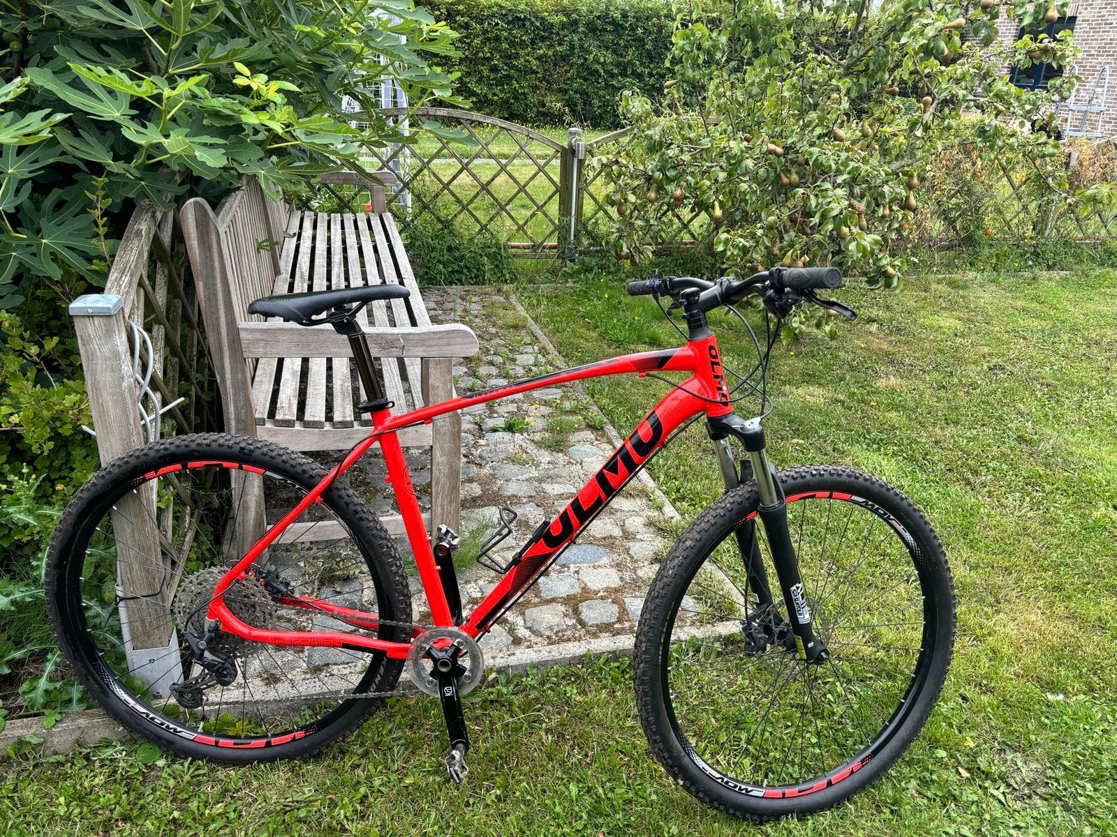 Mtb 29 inch Olmo 2024 L zgan, Ophalen, Zo goed als nieuw