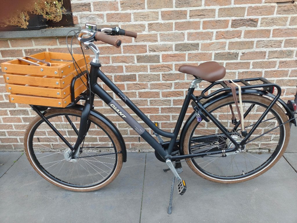 damesfiets Giant, 56 cm of meer, Ophalen, Zo goed als nieuw, Giant
