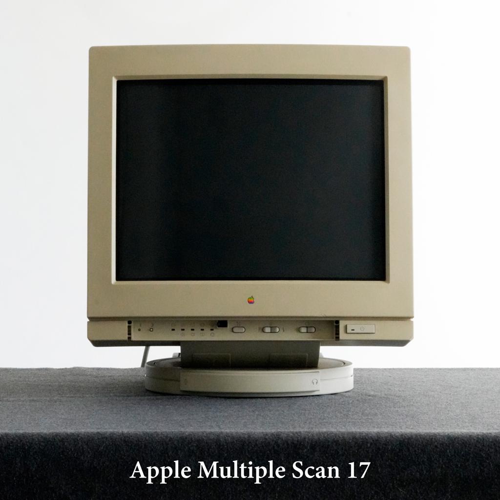 Apple Multiple Scan 17 Display, Computers en Software, Vintage Computers, Ophalen