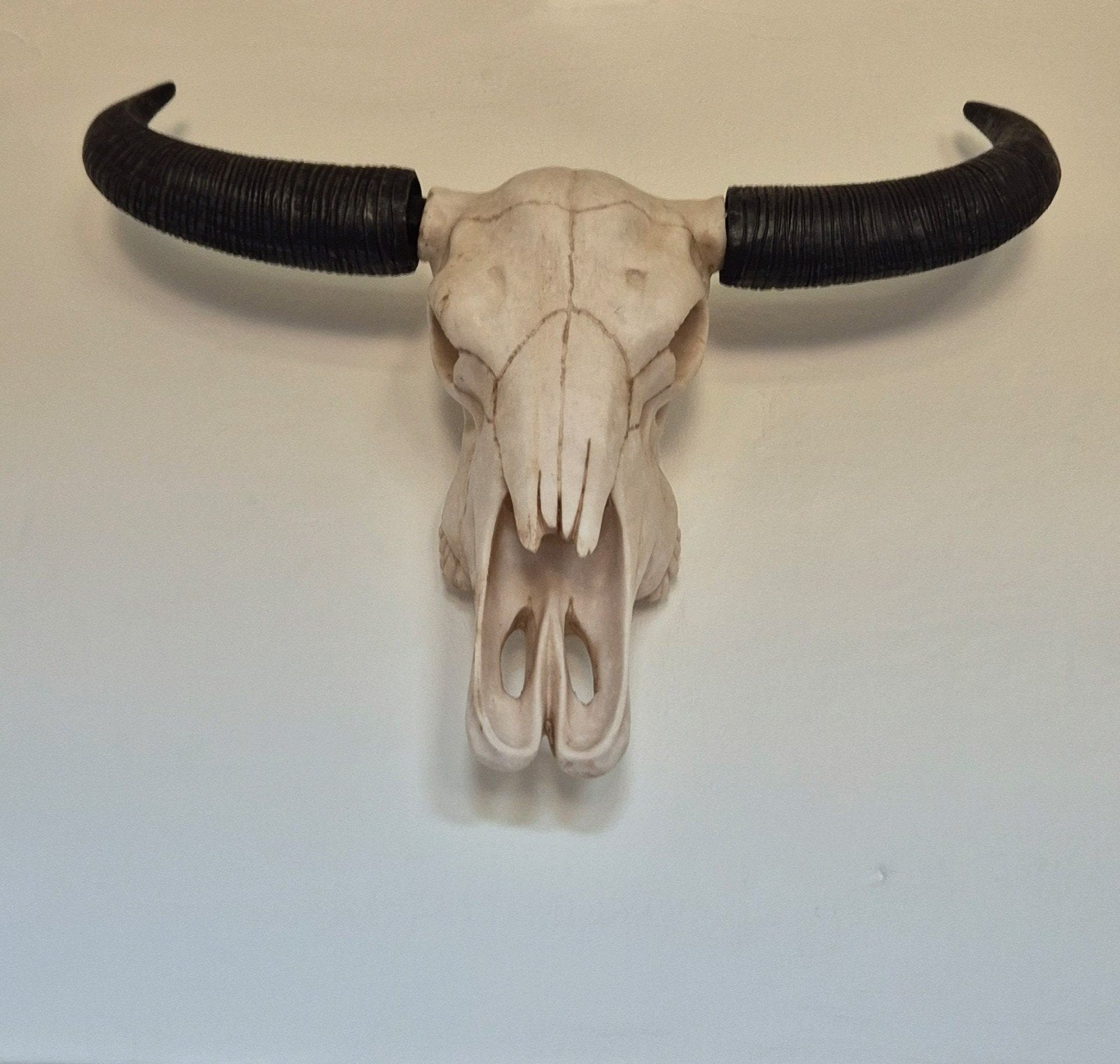 Buffelschedel / Longhorn wanddecoratie, Industrieel, Ophalen