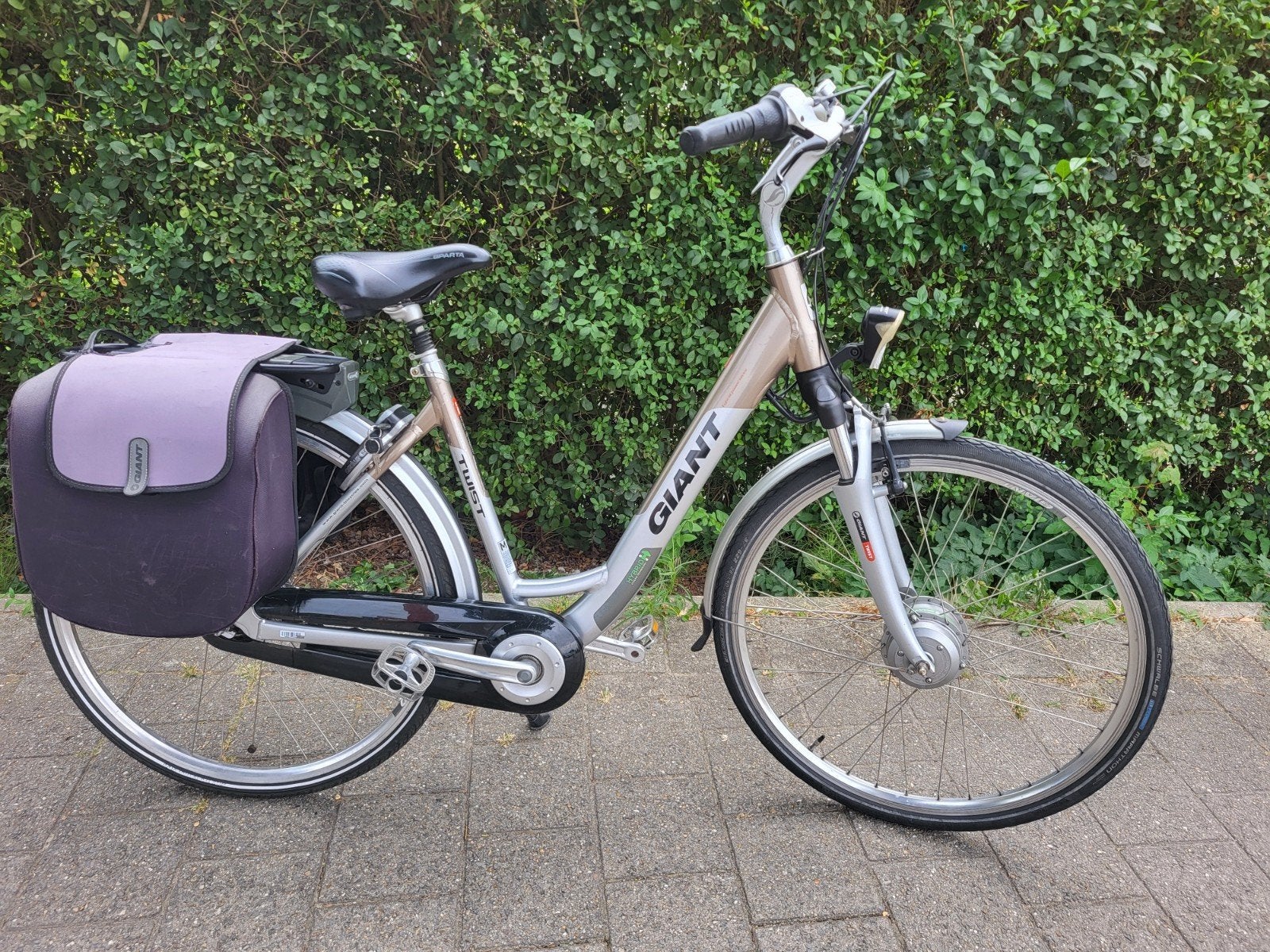 Setje van Giant dames en heren elektrische fietsen, Ophalen, Giant