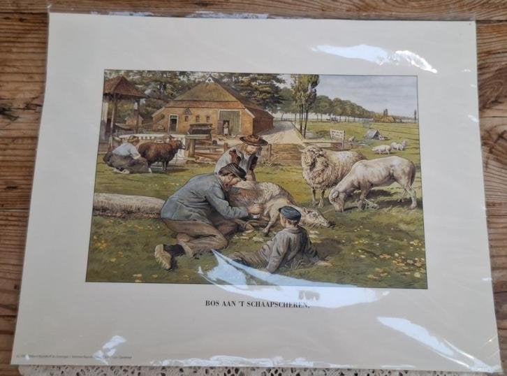 Ot en Sien prent, Bos aan 't Schaapscheren, schapen prent, Verzamelen, Foto's en Prenten, 1980 tot heden, Nieuw, Ophalen of Verzenden
