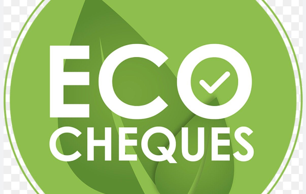 Ecocheques ter waarde van €313 verkoop ze aan €250, Tickets en Kaartjes