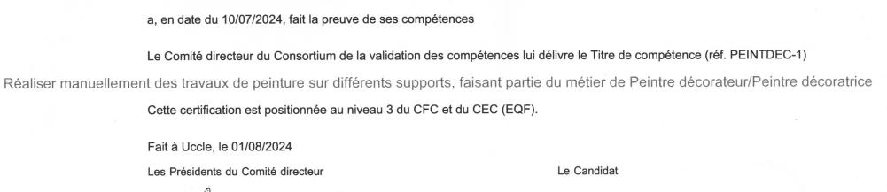 Peintre décorateur  /  Nettoyeur   qualifié  recherche jobs., Bricolage & Construction, Enlèvement