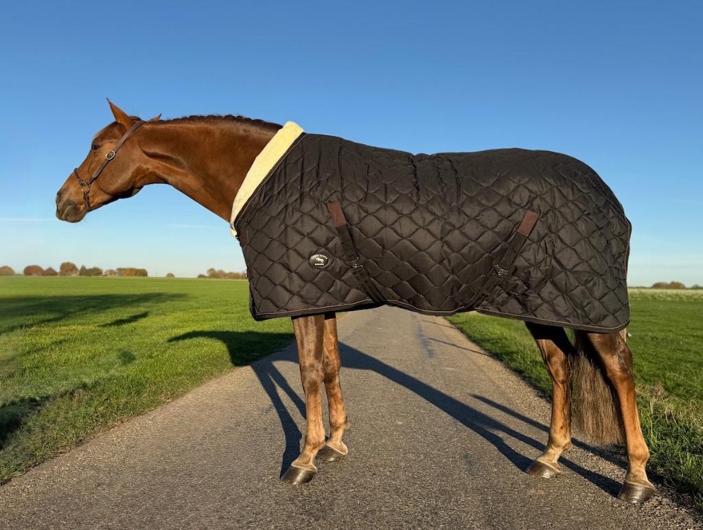 Profi-Rider Showdeken 200g Zwart 185 + 195 SALE!, Dieren en Toebehoren, Ophalen of Verzenden, Nieuw, Deken